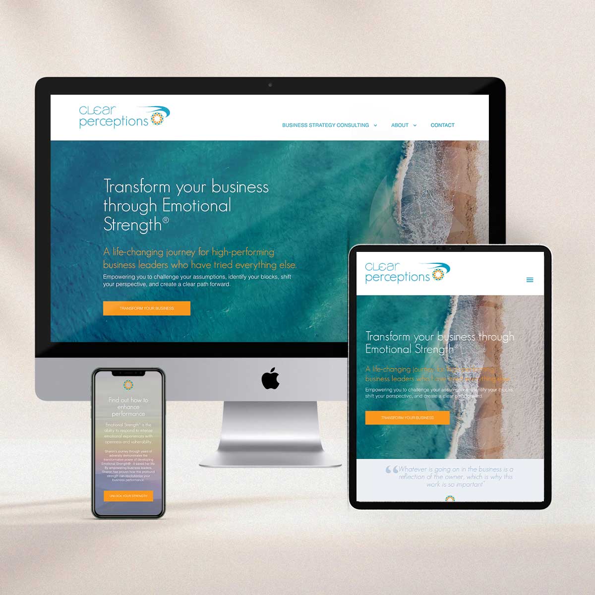 InkJam Clear Perceptions website design
